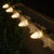 WGC-79864 - C7 Warm White LED OptiCore Commercial Christmas Lights, 100 Lights, 100', Green Wire, 12" Spacing - Wintergreen Corporation