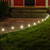 WGC-81201 - C7 Warm White LED OptiCore Commercial Christmas Pathway Lights, 7.5" Stakes, 100 Lights, 100', Green Wire, 12" Spacing - Wintergreen Corporation