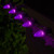 WGC-77329 - C7 Purple LED OptiCore Commercial Halloween Lights, 100 Lights, 100', Black Wire, 12" Spacing - Wintergreen Corporation