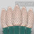 Wintergreen Corporation 78121 C9 Warm White OptiCore Commercial LED Christmas Lights, 25 Lights, 25'
