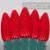 Wintergreen Corporation 78074 C9 Red OptiCore Commercial LED Christmas Lights, 25 Lights, 25'