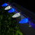 WGC-79967 - C9 Cool White/Blue LED OptiCore Commercial Christmas Lights, 50 Lights, 50', White Wire, 12" Spacing - Wintergreen Corporation