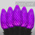 WGC-79955 - C9 Purple LED OptiCore Commercial Halloween Lights, 50 Lights, 50', Black Wire, 12" Spacing - Wintergreen Corporation