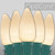 Wintergreen Corporation 80158 C9 Warm White Smooth OptiCore Commercial LED Christmas Lights, 50 Lights, 50'
