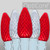 Wintergreen Corporation 79996 C9 Cool White / Red OptiCore Commercial LED Christmas Lights, 100 Lights, 100'