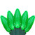 Wintergreen Corporation 71887 C9 Green Commercial LED Christmas Lights, 100 Lights, 100'