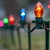 WGC-79886 - C7 Multicolor Incandescent Commercial Christmas Pathway Lights, 7.5" Stakes, 100 Lights, 100', Green Wire, 12" Spacing - Wintergreen Corporation