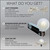 WGC-79419 - 25' Cool White LED FlexFilament Commercial Satin Patio String Light Set with 25 G50 Bulbs, E17 Base, White Wire, 12" Spacing - Wintergreen Corporation
