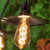 Wintergreen Corporation 79566 35' FlexFilament Antiqued LED Patio String Light Set with 7 5W ST64 Edison Bulbs on Black Wire
