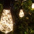 Wintergreen Corporation 80975 30' Warm White LEDimagine TM Patio String Light Set with 10 ST64 Fairy Light Bulbs on Black Wire, with Drops