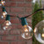 WGC-69460 - 50' Clear Incandescent Commercial Patio String Light Set with 33 G50 Bulbs, E17 Base, Green Wire, 18" Spacing - Wintergreen Corporation