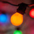 Wintergreen Corporation 72021 100' Commercial Multicolor Patio String Light Set with 75 S11 Bulbs on Black Wire
