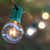 WGC-70892 - G40 Clear Incandescent Commercial Transparent Steady Light Set, 25 Lights, 25', Green Wire, 12" Spacing - Wintergreen Corporation