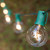 WGC-70898 - G50 Clear Incandescent Commercial Transparent Steady Light Set, 25 Lights, 25', Green Wire, 12" Spacing - Wintergreen Corporation