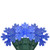 WGC-69389 - Blue LED Snowflake Lights, 35 Lights, Green Wire, 6" Spacing - Wintergreen Corporation