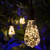 WGC-78448 - ST64 Warm White LEDimagine Fairy Light Bulbs - Wintergreen Corporation