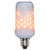 Wintergreen Corporation 75607 LED Animated Digital Flame Bulbs