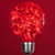 Wintergreen Corporation 78450 G80 Red LEDimagine TM Fairy Light Bulbs