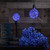 WGC-78459 - G95 Blue LEDimagine Fairy Light Bulbs - Wintergreen Corporation