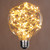 WGC-78462 - G95 Warm White LEDimagine Fairy Light Bulbs - Wintergreen Corporation