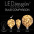 WGC-78462 - G95 Warm White LEDimagine Fairy Light Bulbs - Wintergreen Corporation
