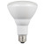 Shatrshield 06209W 9BR30/LED/DIM/FL/50 (PK X 12) Floods Water Resistant LED Lamps