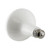 EB40-17W3000E - LED BR40 100W Dim ES Plastic Frosted Light Bulbs - Euri Lighting