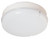 ASL Lighting DRF Frosted White Polycarbonate Ceiling/Sconce Outdoor Ceiling & Wall Companions