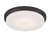ASL Lighting HRPA Frosted Glass Ceiling Indoor