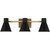 ASL Lighting TLDA3 Steel