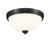 Z-lite 443F2-MB Matte Black Ashton Flush Mount