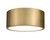 Z-lite 2302F2-RB Rubbed Brass Harley Flush Mount