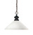 Z-lite 100701OB-AMO14 Olde Bronze Shark Pendant