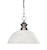 Z-lite 100701BN-DWL14 Brushed Nickel Shark Pendant