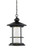 Z-lite 552CHB-BK-LED Black Genesis Outdoor Chain Mount Ceiling Fixture