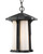 Z-lite 542CHB-BK Black Harbor Lane Outdoor Chain Mount Ceiling Fixture