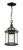 Z-lite 563CHM-BK Black Annex Outdoor Chain Mount Ceiling Fixture