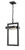 Z-lite 566CHB-BK-LED Black Luttrel Outdoor Chain Mount Ceiling Fixture