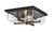 Z-lite 592F-BK Black Sana Outdoor Flush Ceiling Mount Fixture