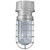 ANP Lighting VTC200GLCL-42WPL-RTCNC-GUP