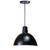 ANP Lighting D616-BLC Easy Order RLM