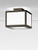 Craft Metal Products BL Bristol Series - Ceiling Mount