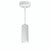 Nora Lighting NYLM-2C40XWWLE3A 2" iLENE Cable Mount Mini Cylinder, 1000lm, 14W, 4000K, White, 120V Triac/ELV Dimming
