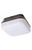 Wave Lighting 164FM GUARDIAN SQUARE WALL/CEILING MOUNT