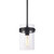 Galaxy Lighting 926264BK 1L MINI-PENDANT BK with 6",12" & 18" Ext. Rods and Swivel