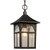 Galaxy Lighting 311374BK Outdoor Lantern - Black with Clear Seeded Glass