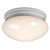 Galaxy Lighting L810210WH010A1 LED Utility Flush Mount Ceiling Light