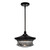 Zeev Lighting P30044/1/DBZ 1LT Pendant Light