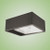 Techlight 1262 Orion Series Medium Extruded Shoebox