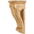 Hardware Resources COR30-G Scrolled Art Nouveau Corbel